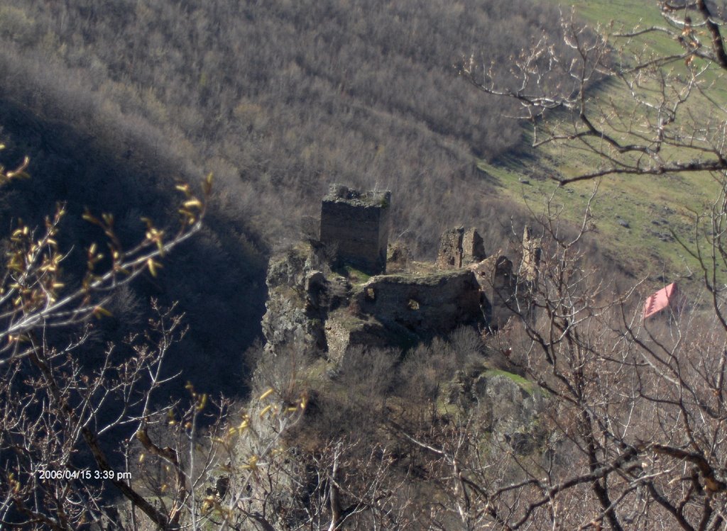 Cetatea Colti sau Castelul din Carpati, Suseni - Hunedoara; This is the castle from Carpathian by Jules Verne by mMircea