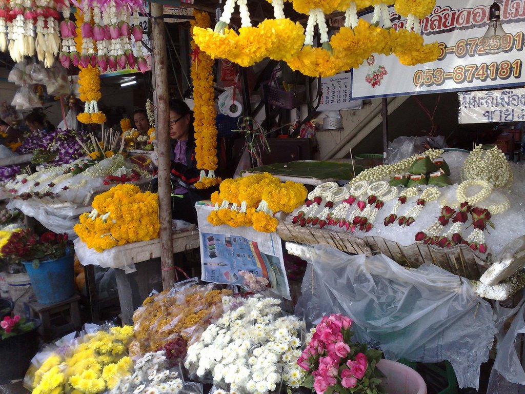 Chiang Mai flower market / チェンマイ花市場（ワロロット市場傍） / ตลาดดอกไม้เชียงใหม่ by itagaki