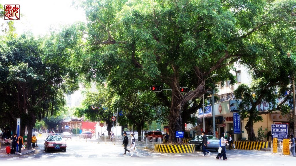 爱榕路口的大榕树(Great Banian on Airong Road) by nswy2008