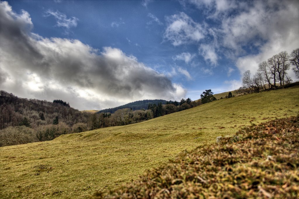 Pantpethog , Esgair Estate 2009 by fillupbee1