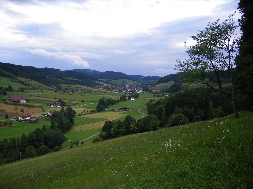 Blick nach Welschensteinach by pierotheguitarero