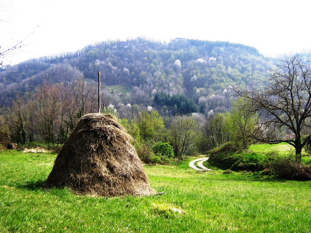 BO - Labante (Campagna) by Matteo Benevelli