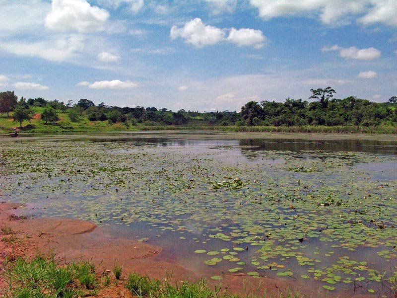 Represa do rio Sete de Setembro - fevereiro/2009 by Eduardo Dantas