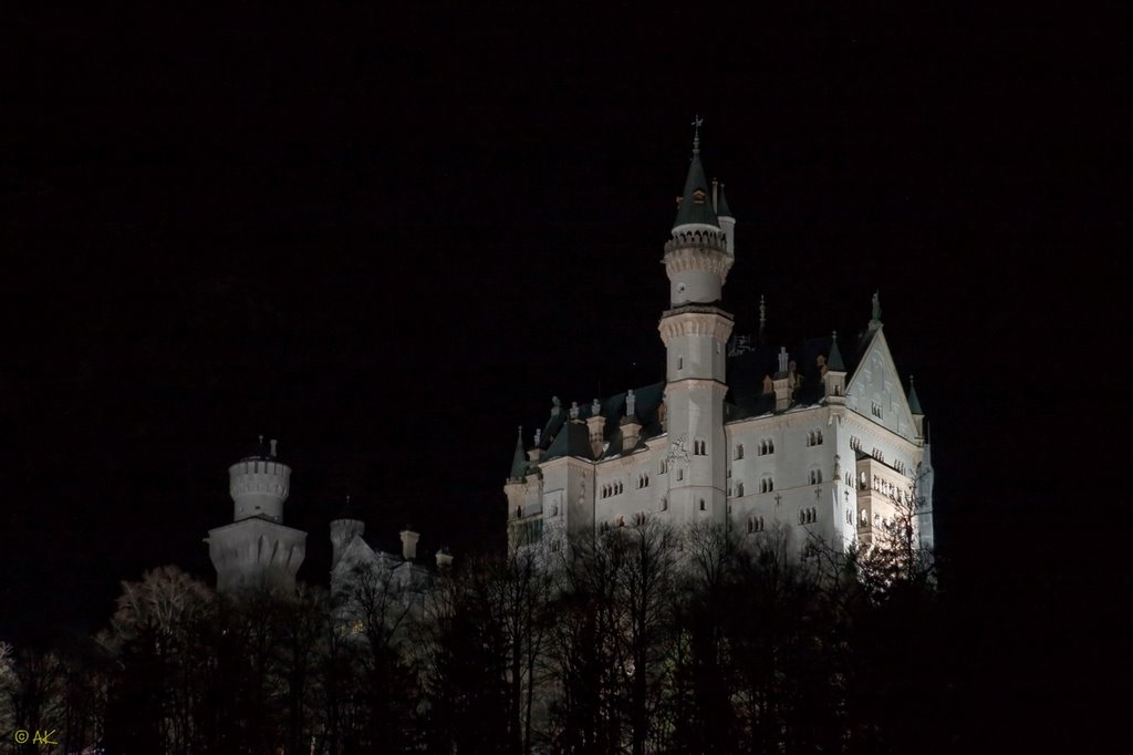 Neuschwanstein castle by Alexander Kuguchin