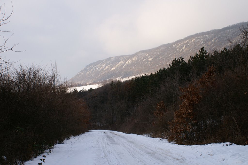 Kesztölc, Hungary by tibike74