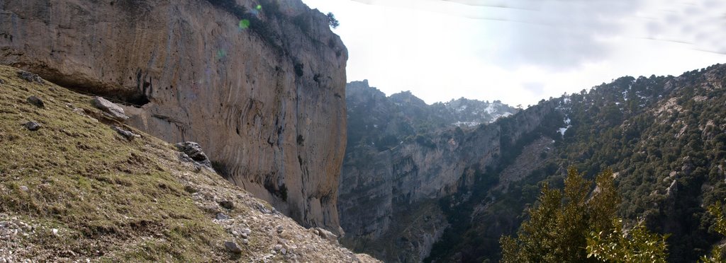 Panorámica de los Órganos by Agustin Carrillo