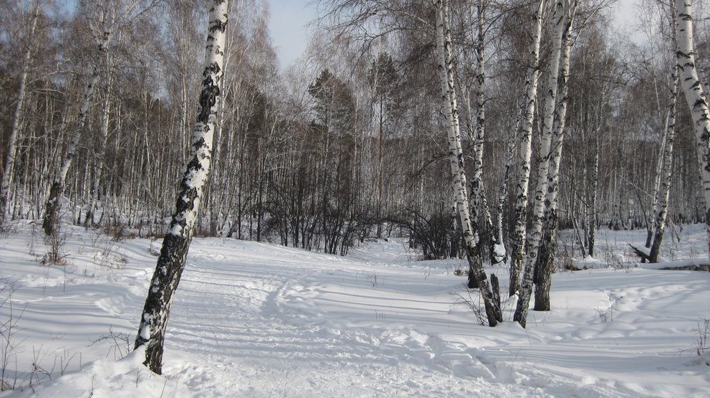 Smolenshchina, Irkutskaya oblast', Russia by genymam