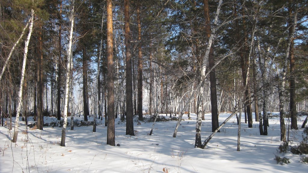 Smolenshchina, Irkutskaya oblast', Russia by genymam