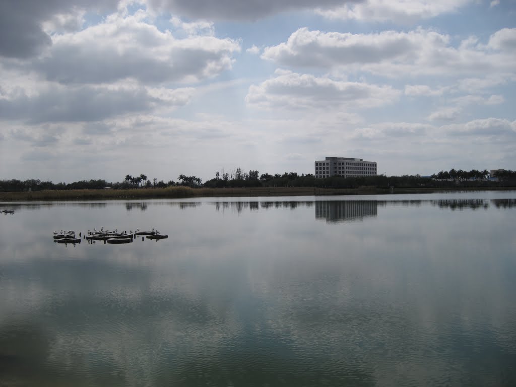 Lake Joanne by Emilio Portuondo