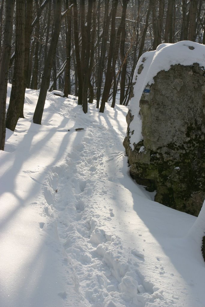 Along the blue trail by izsolt