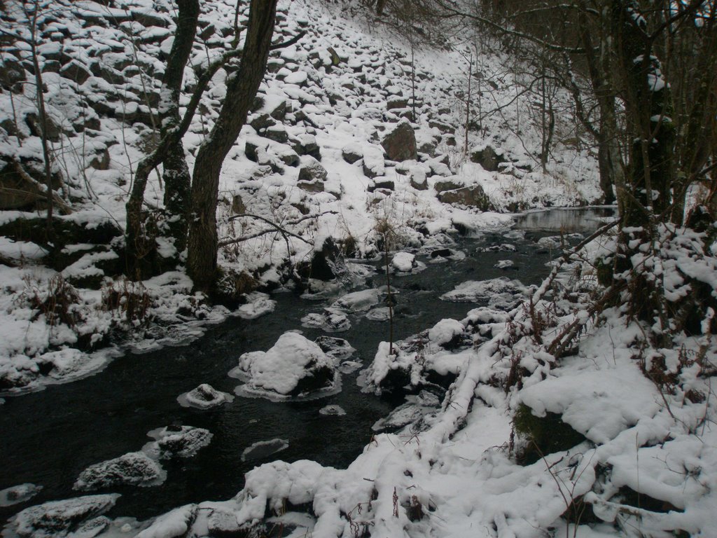 The stream Kvärkabäcken, Söderåsen National Park, Skåne. February 2009. by kaxnas