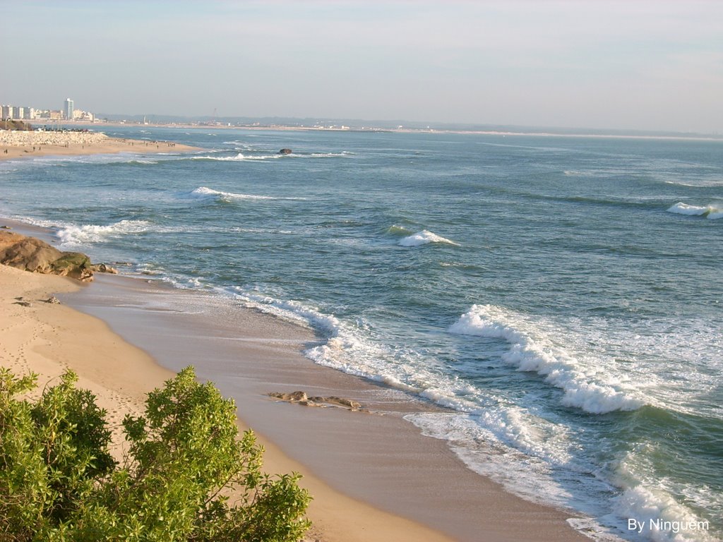 Figueira da Foz by Ninguém