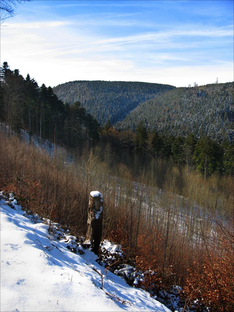 Engenstal - Blick nach Westen by Melli Fikation