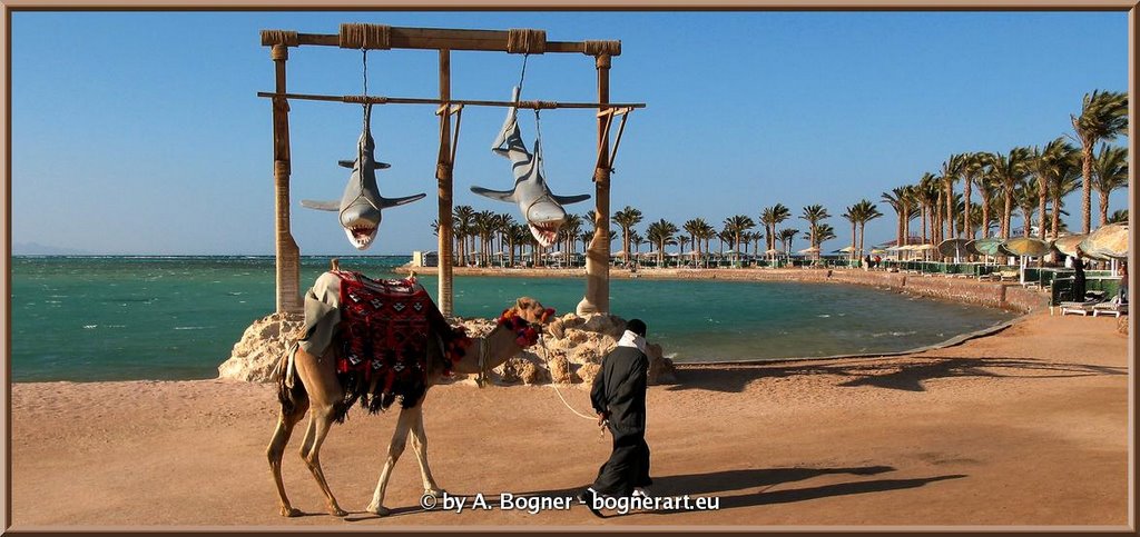 HURGHADA SHEDWAN GOLDEN BEACH by Albert ☺ bognerart.eu