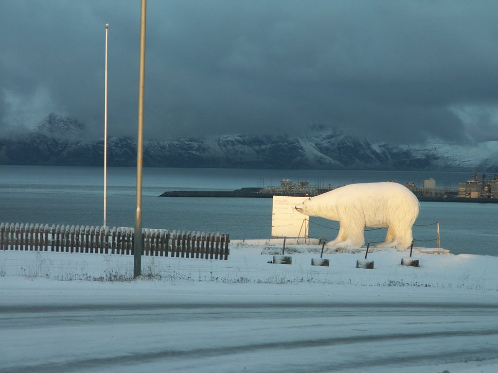 Hammerfest 2008 by Art.s