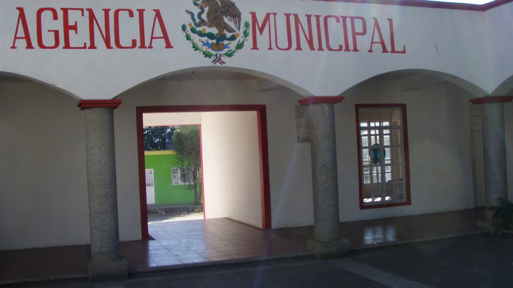 Agencia municipal de elencinar by mendozinodeveracruz