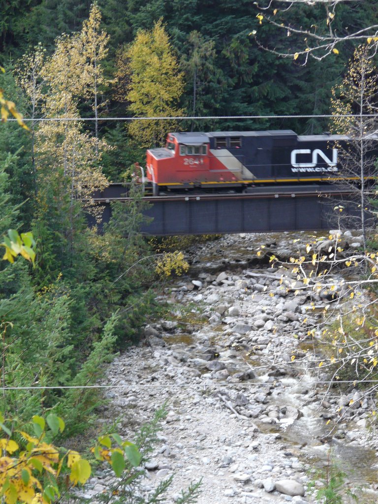 CN Train on Bridge by MackXit