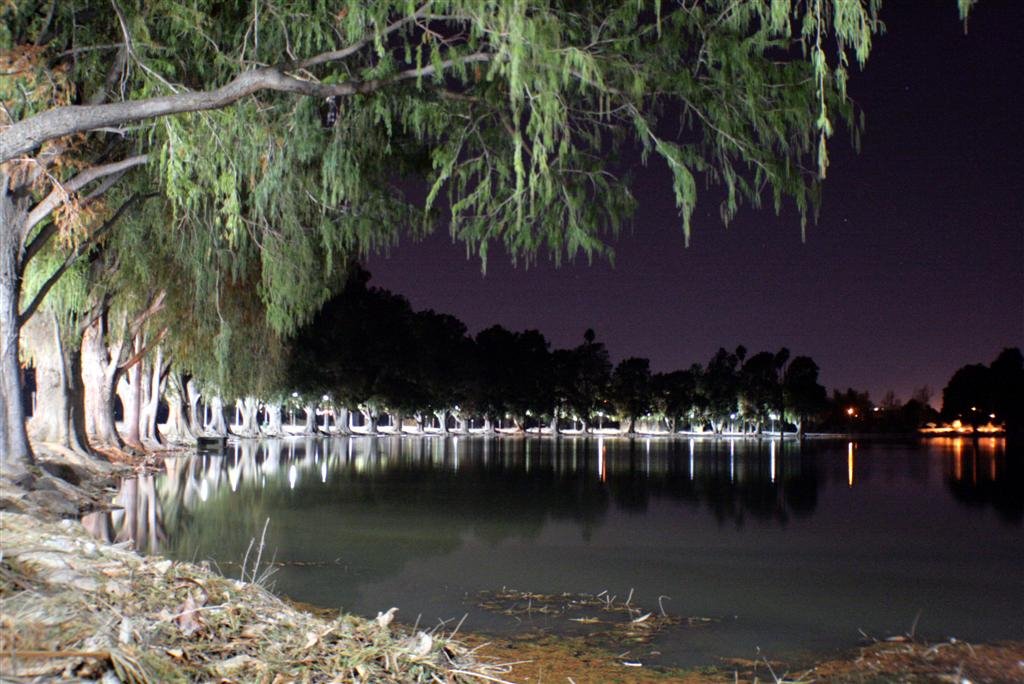 LAKE AT nIGHT by Richard Strickland