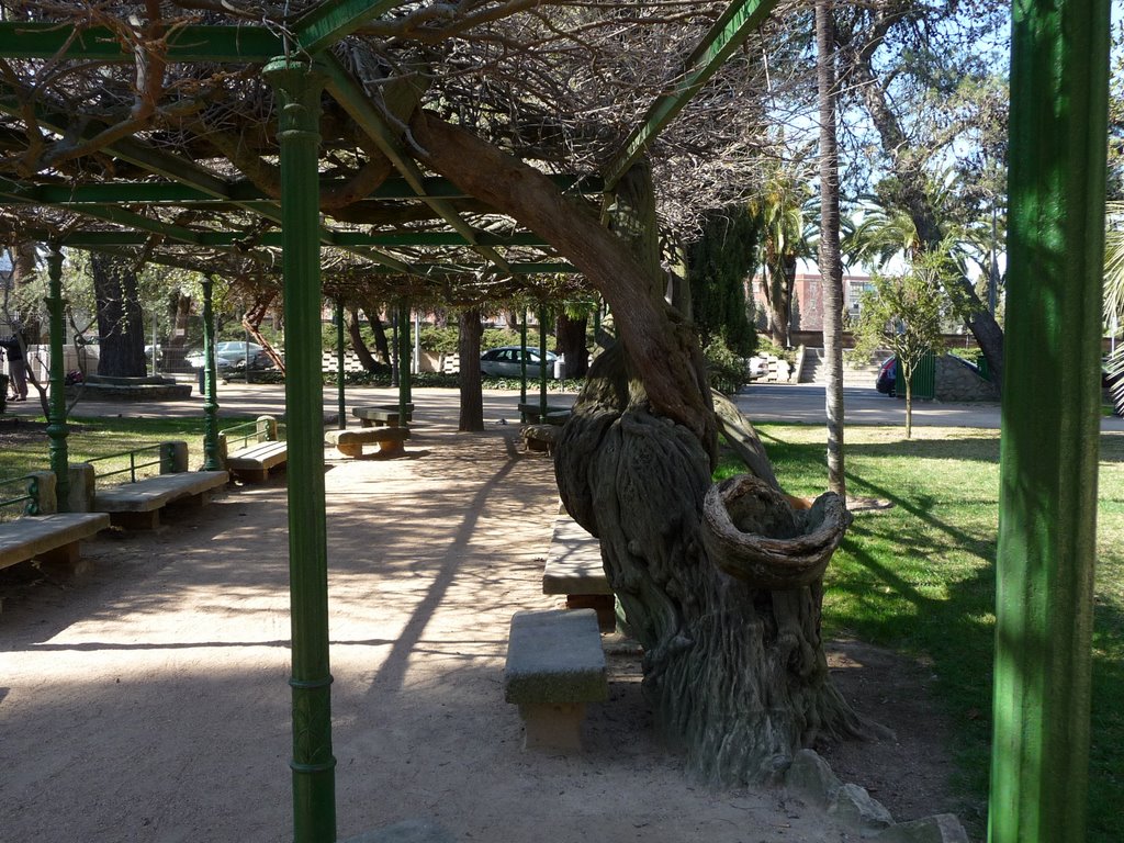 Detalle de Árbol rugoso en Castelar. by Marguel