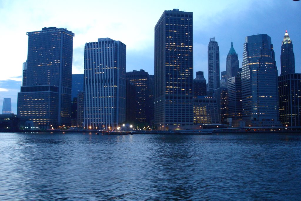 Manhattan from East River- South financial district by adutza01