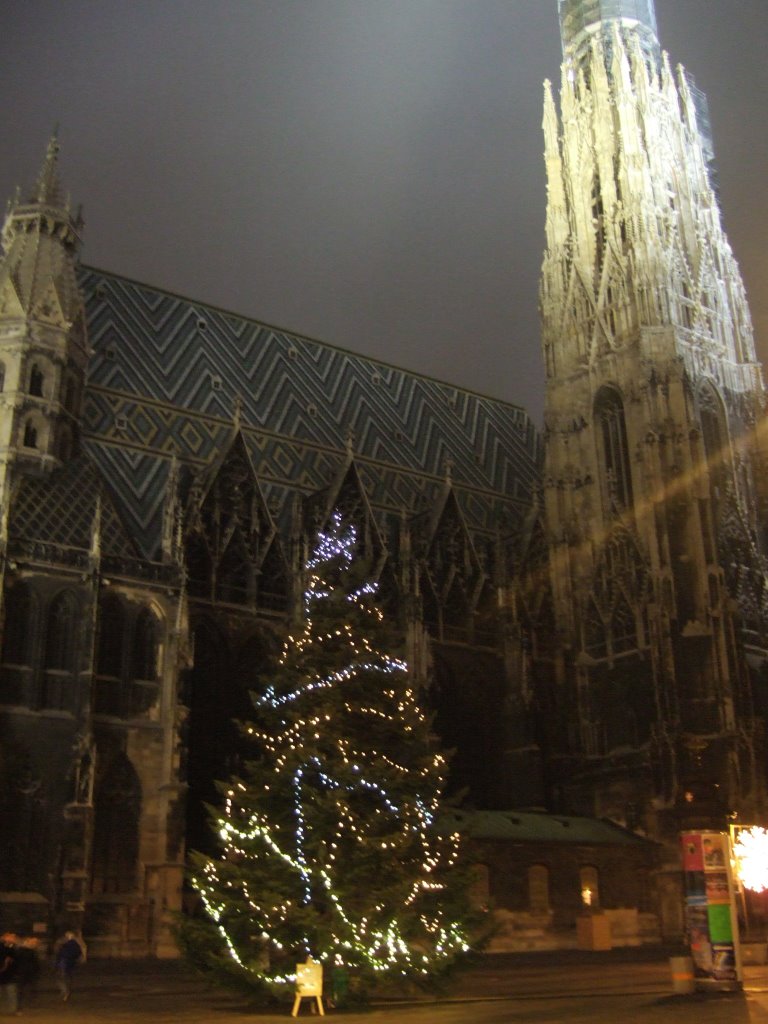 St. Stephan Cathedral - Wien, night 29th of Dec. 2007 by adutza01