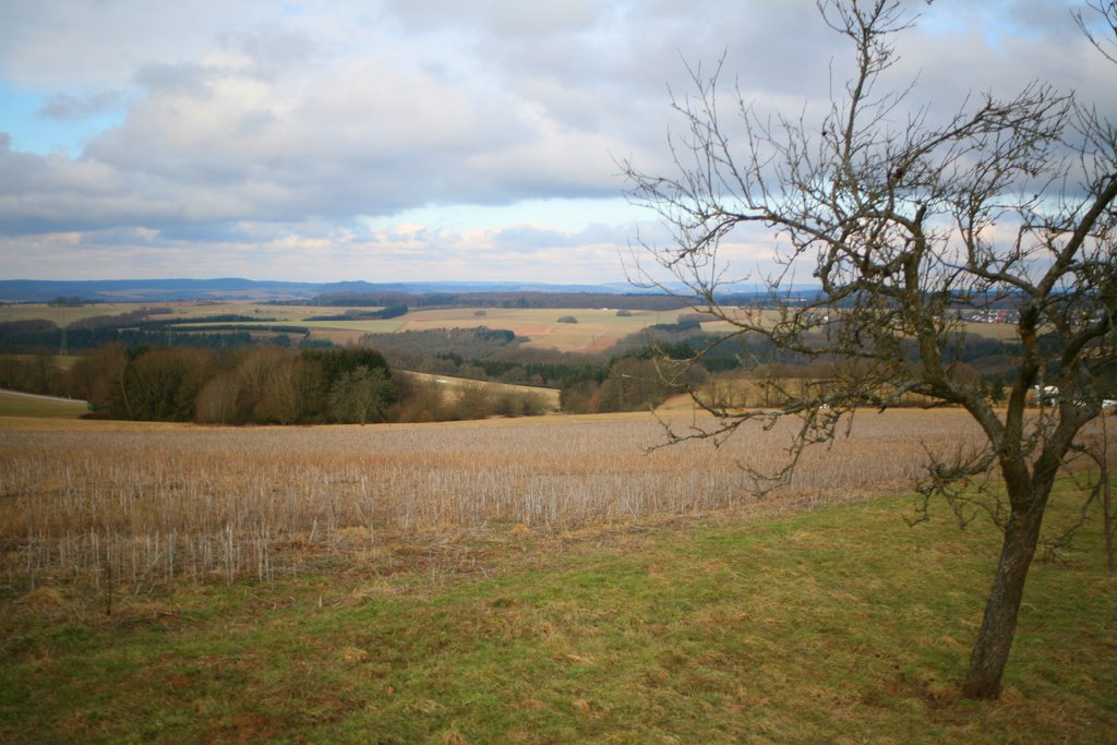 Rheinland-Pfalz, Deutschland by Hans Sterkendries