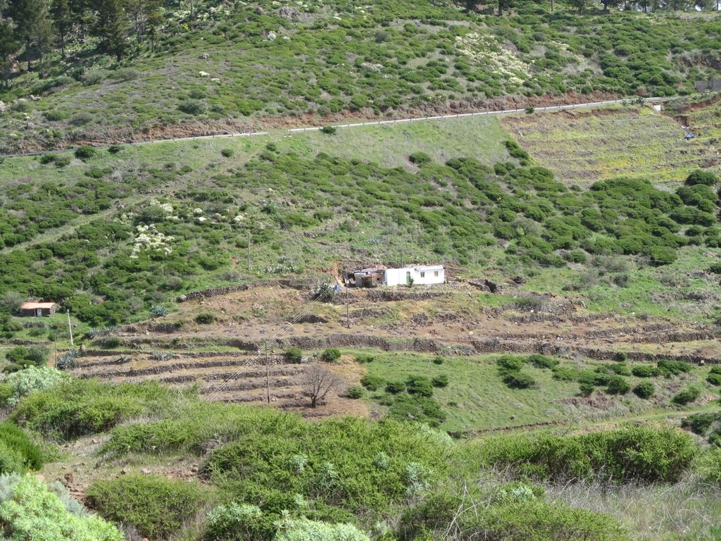 Terraces. Igualero. La Gomera by Тилигузов Сергей