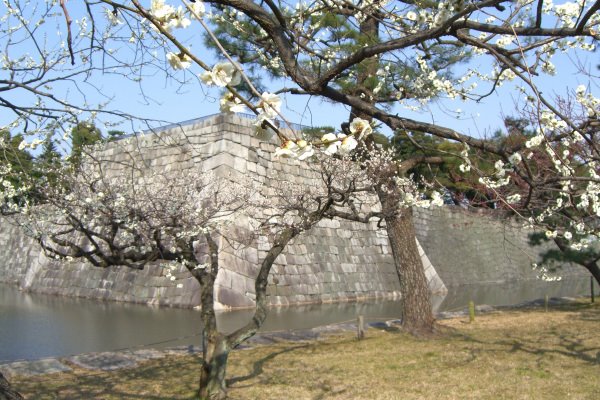 Kyoto Nijo Castle by sonotune