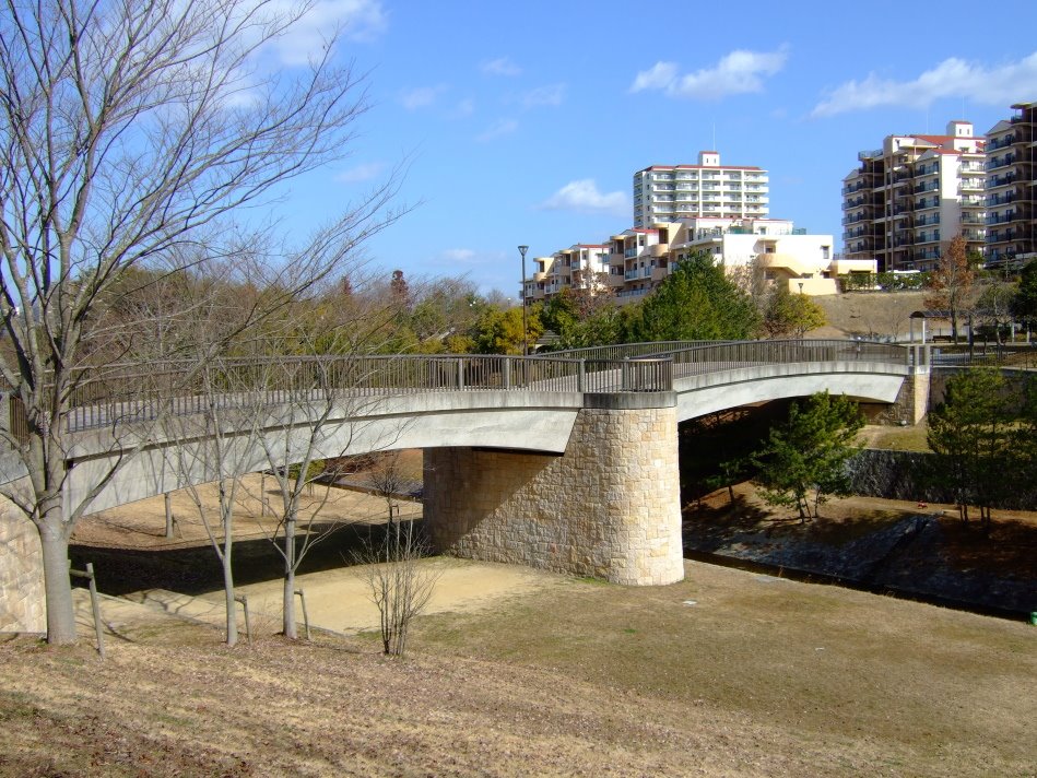 Hiratanigawa Footbridge（平谷川歩道橋） by hiro.n