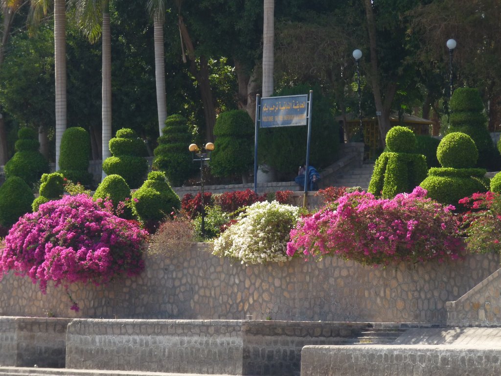 The Botanical Gardens in Aswan! by Medhat I.