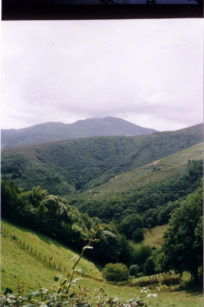 Vistas by Jose Lozano Gallego