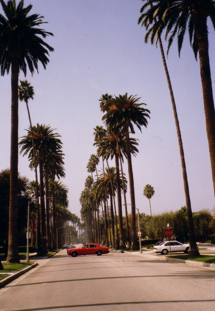 Beverly Hills,California by danny45