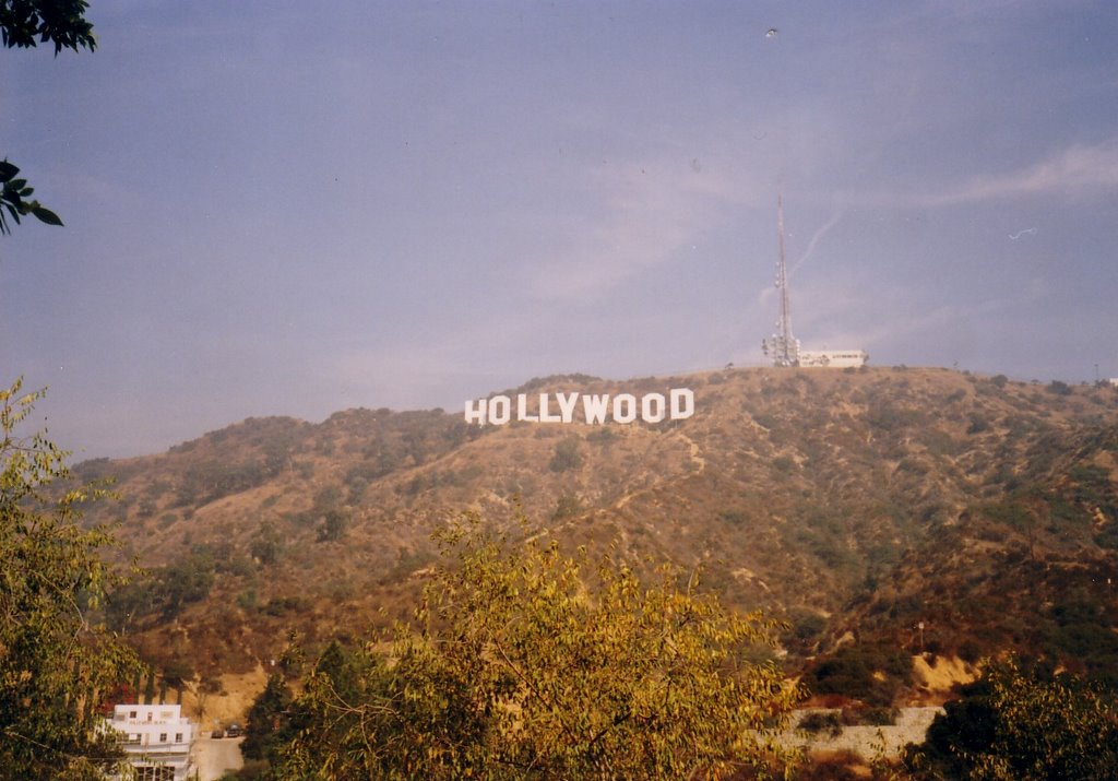 Hollywood COOOL by danny45