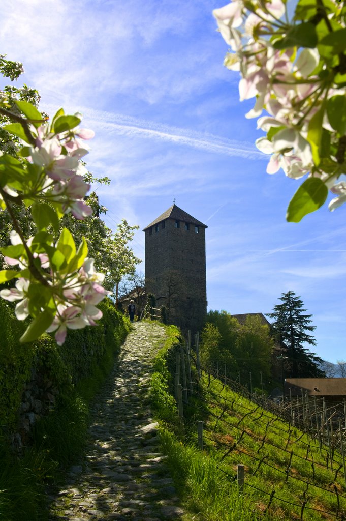 Schloss Tirol by www.fotogasser.com