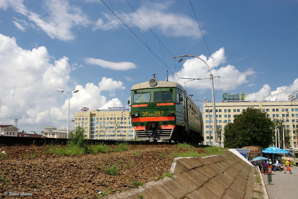 EMU-train ER9M-387 on the overpass by Vadim Anokhin