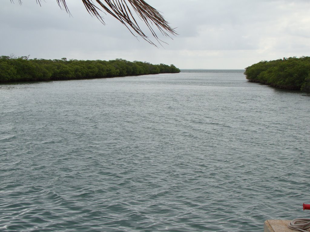 El Manglar desde la Marina by seca2008