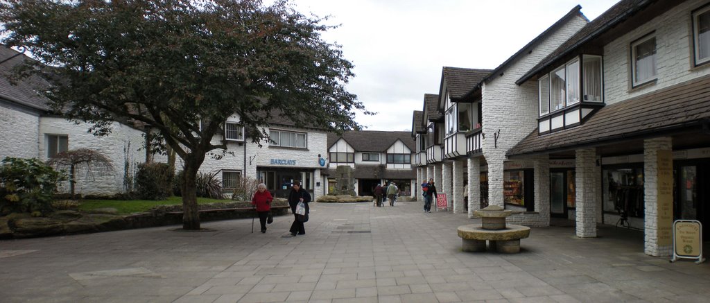 Okehampton: Red Lion Yard by andrewhead