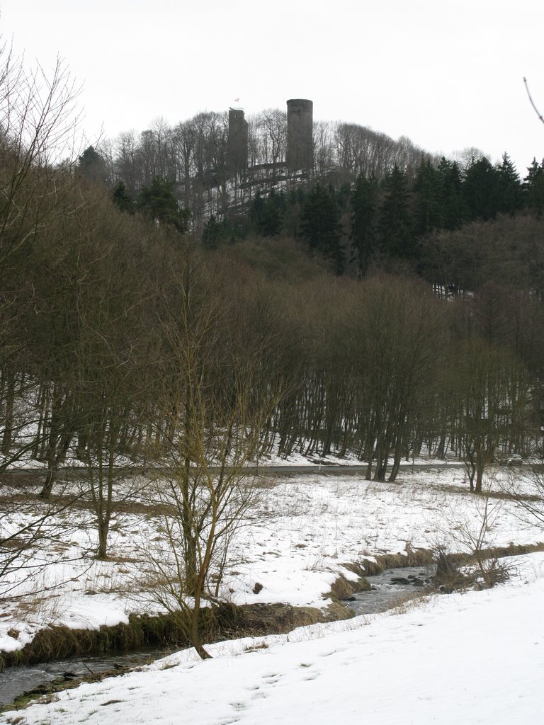 Burgruine Reifenberg by 600m