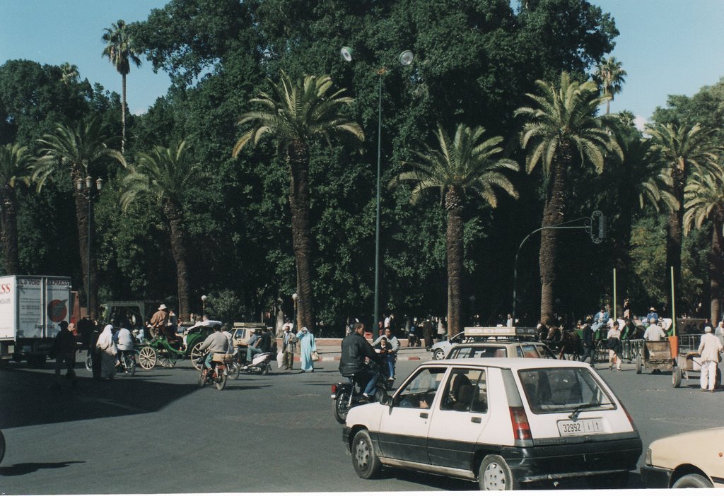 Marrakech, Parc near Djemaa-el-Fna by thepan27