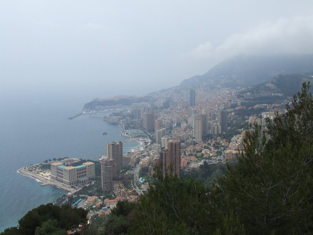 Montecarlo view by bucciland