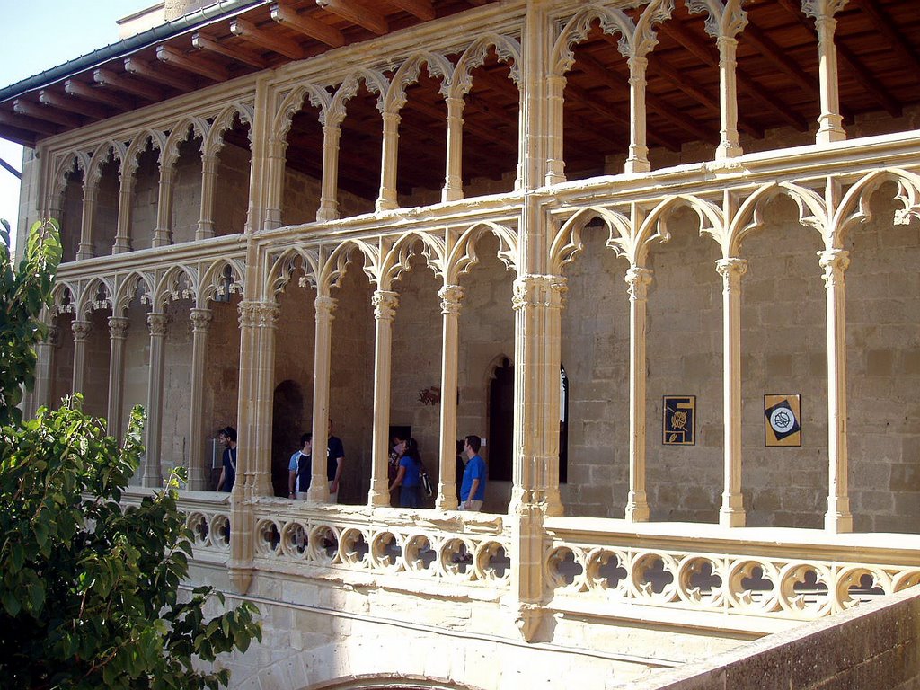 Olite, Navarra, España by Antonio Alba