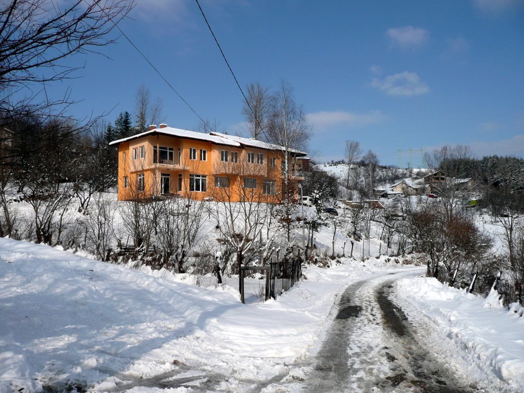 1475 Zheleznitsa, Bulgaria by George Dimitrov