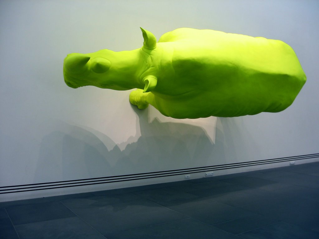 Green Rhino Art Gallery by Andrew Tweedie