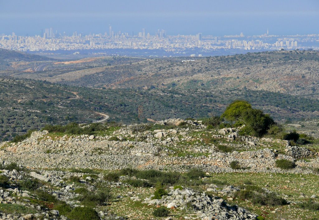 Ramat Gan and Tel Aviv from a top of Ariel by Ilya Borovok