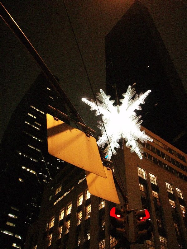 UNICEF Snowflake, 5th and 57th by Fil Baumanis