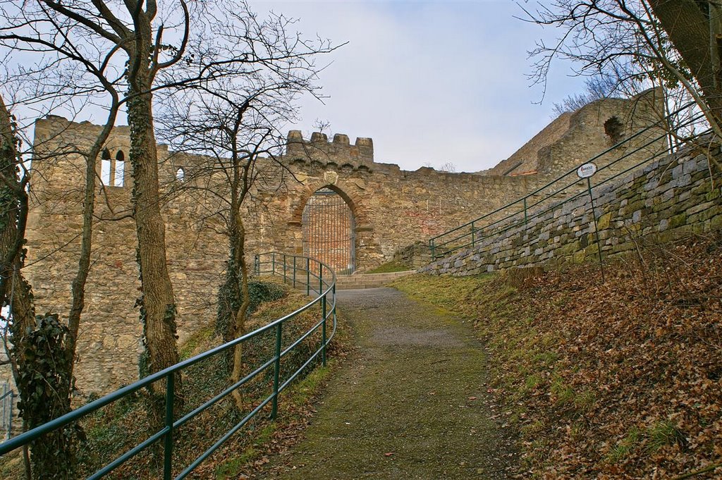 Aufgang zur Burg Löffelstelz by Augenstein