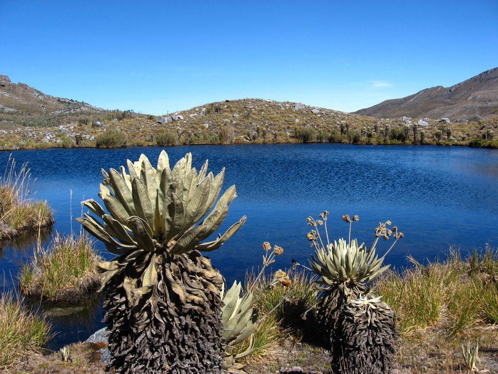 LAGUNILLAS by CRISTIAN RINCON B.