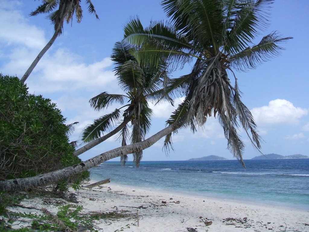 Anse Fourmis by P.Laszlo