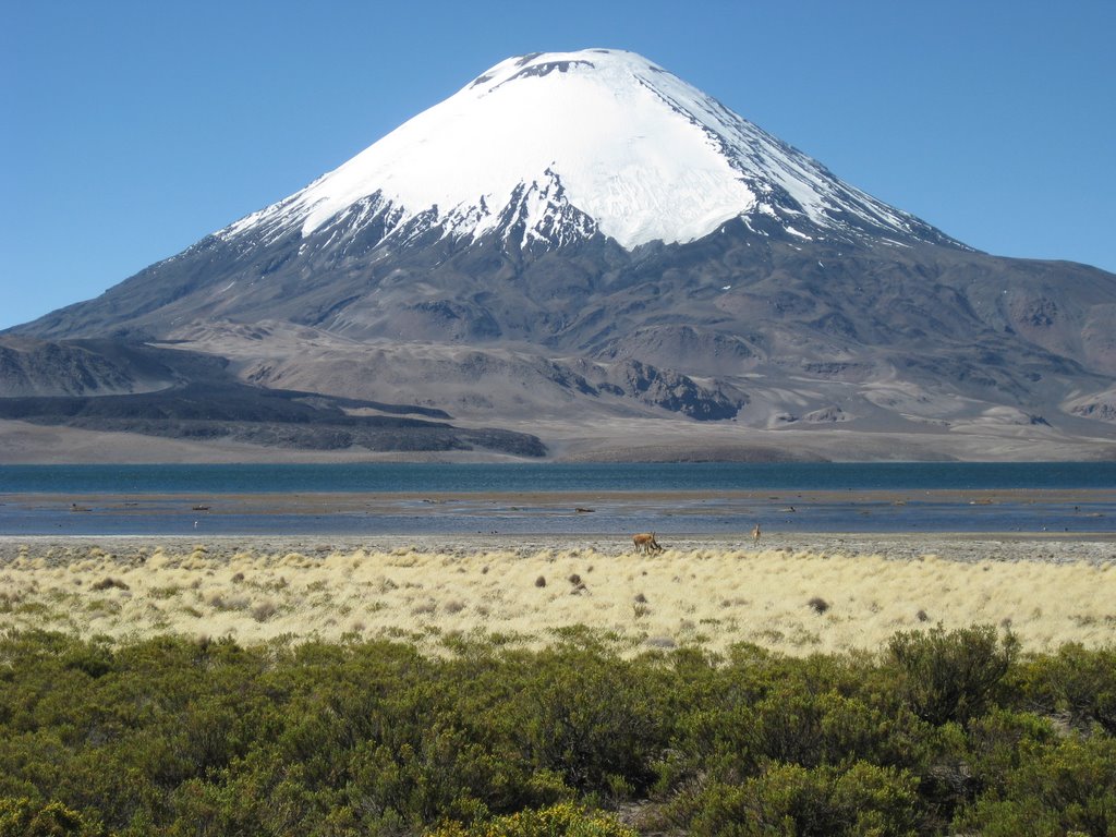 Volcan Parinacotà by Yannick Meyer