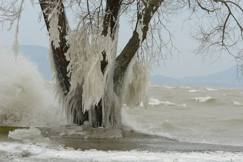 Balaton telen by Inci Müller